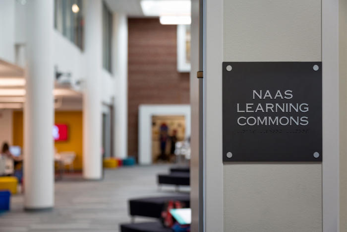 The Roeper School Learning Commons - 0