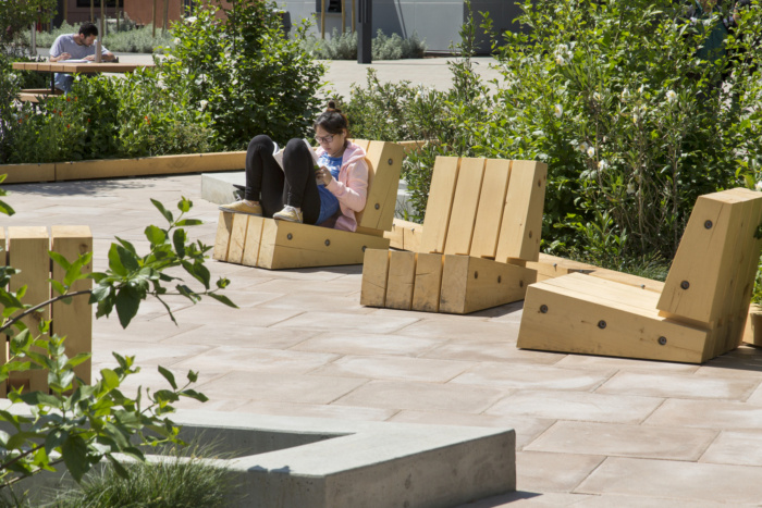 Diablo Valley College - Commons Project - 0