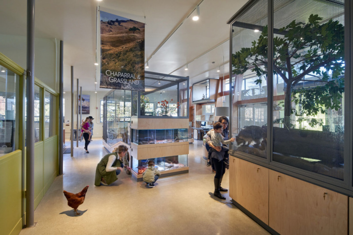 Randall Museum Renovation - 0