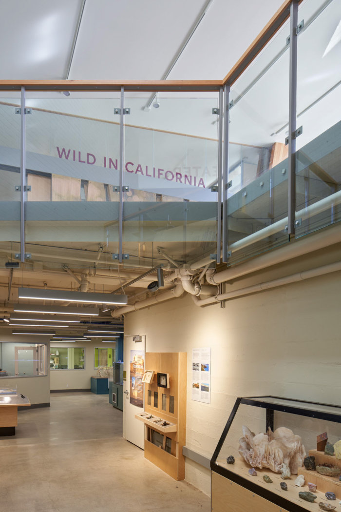 Randall Museum Renovation - 0