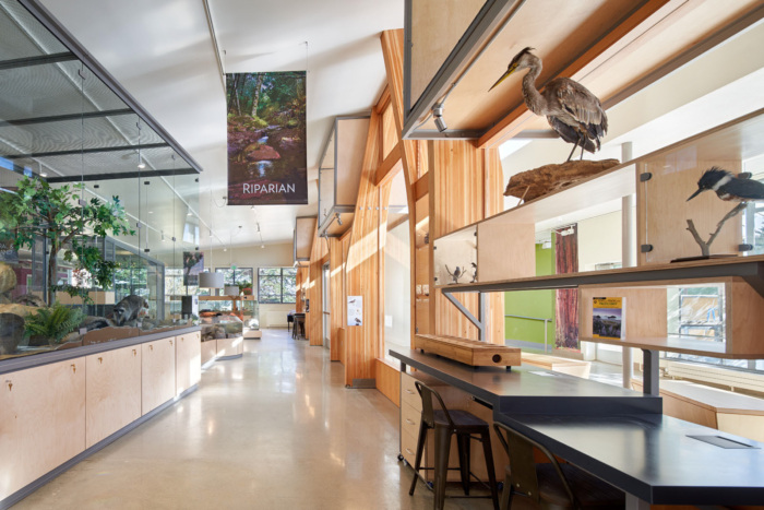 Randall Museum Renovation - 0