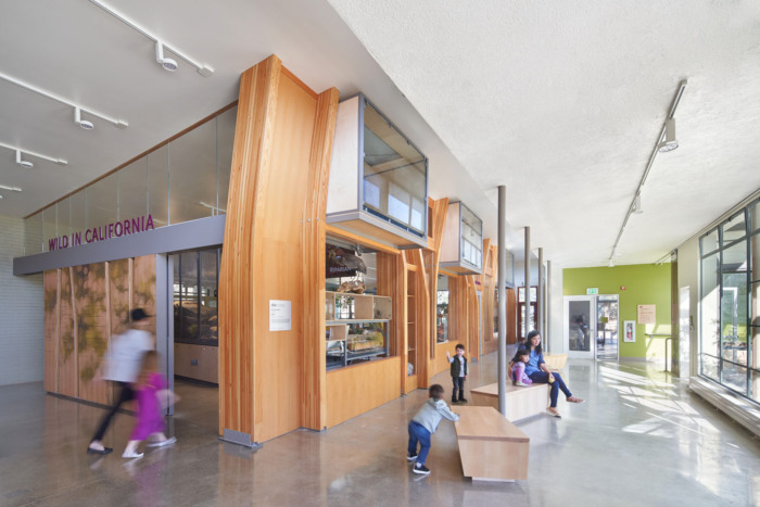 Randall Museum Renovation - 0