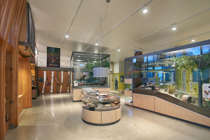 Randall Museum Renovation - 0