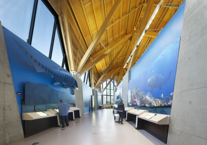 Philip J. Currie Dinosaur Museum - 0