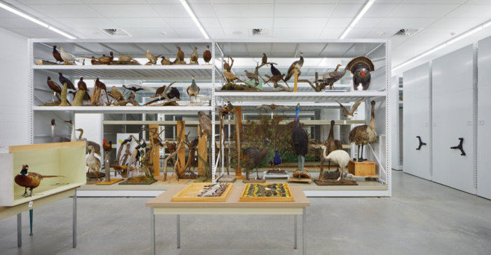 Royal Alberta Museum - 0