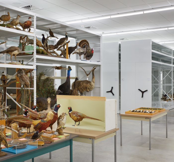 Royal Alberta Museum - 0