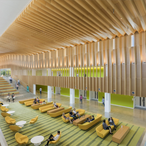 recent Cornell University College of Veterinary Medicine education design projects