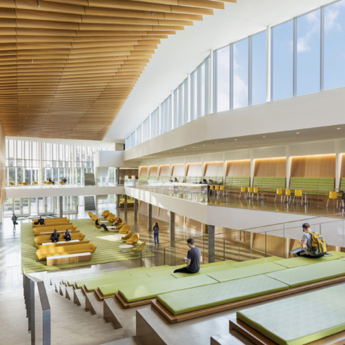 Cornell University College of Veterinary Medicine