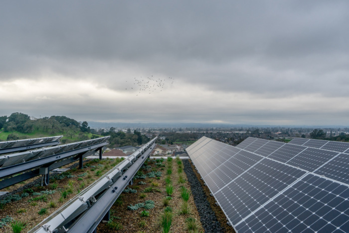 Sonoma Academy - Janet Durgin Guild and Commons - 0