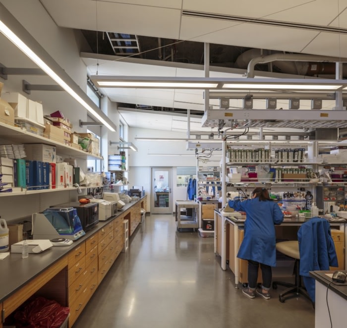 University of California, Los Angeles - Engineering VI Phase 1 - 0