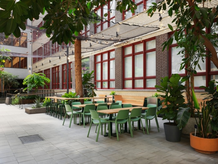 Collège de Maisonneuve - Interior Garden - 0