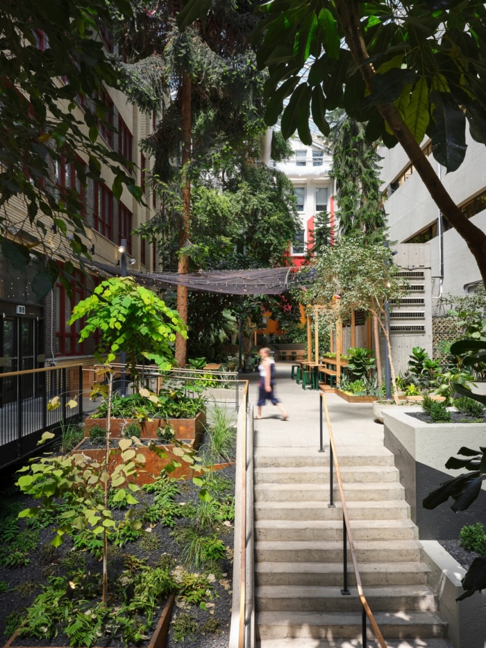 Collège de Maisonneuve - Interior Garden - 0