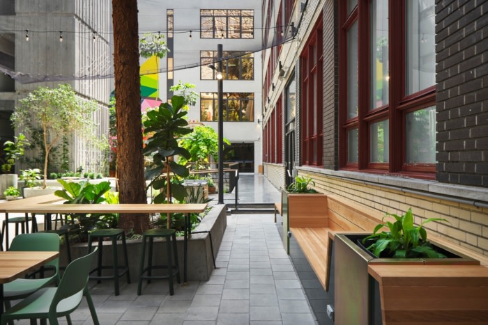 Collège de Maisonneuve - Interior Garden - 0