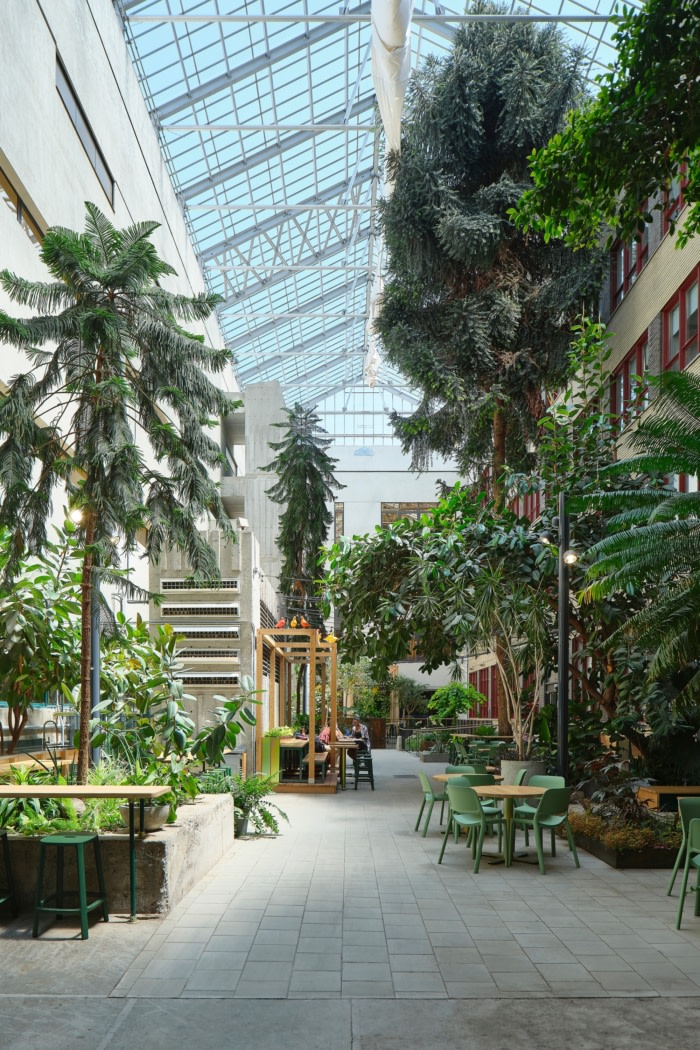 Collège de Maisonneuve - Interior Garden - 0