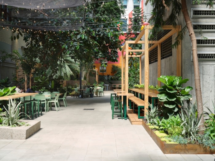 Collège de Maisonneuve - Interior Garden - 0