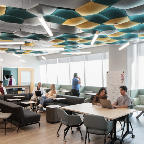 University of South Florida - Campus Visitation Center